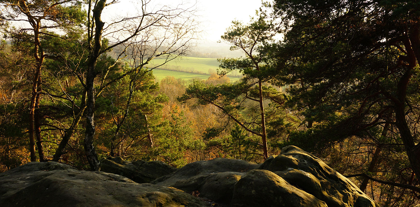 Torten nach Gütersloh bestellen!