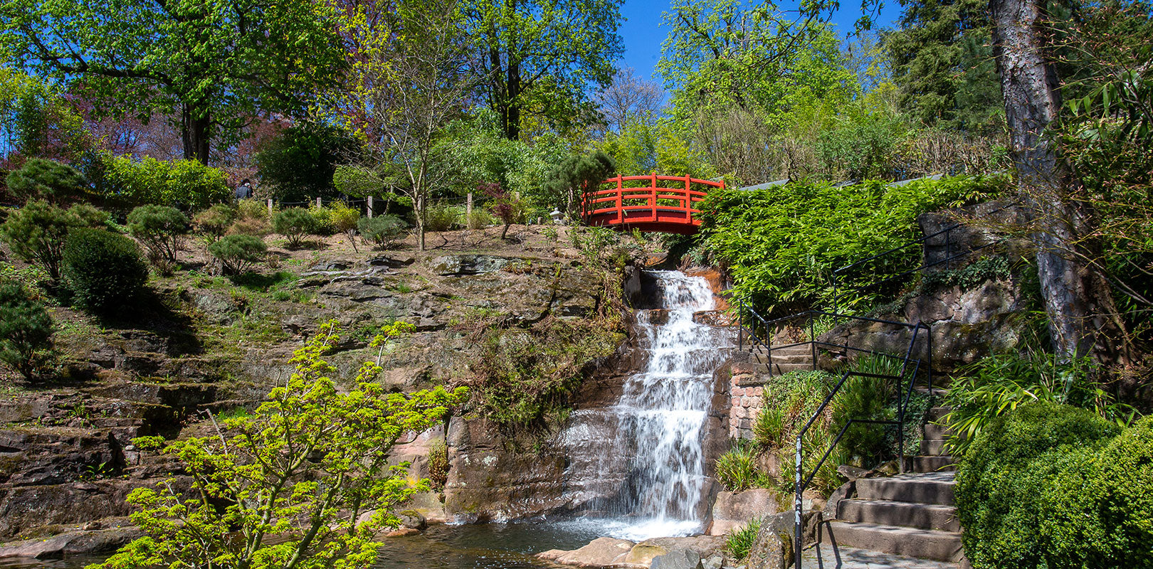 Torten nach Kaiserslautern bestellen!