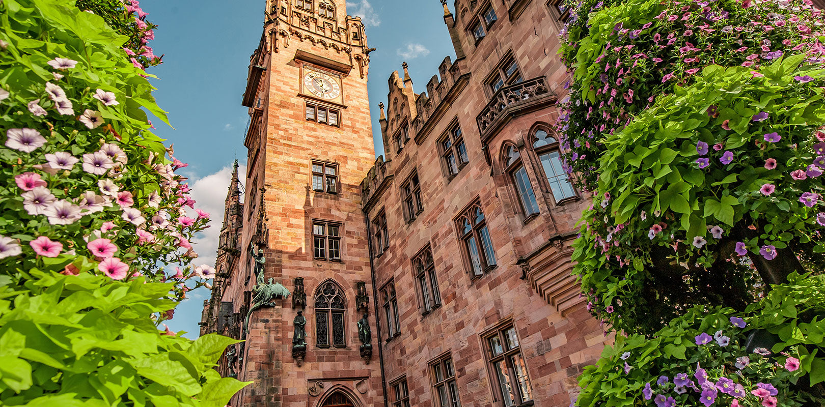 Torten nach Saarbrücken bestellen!