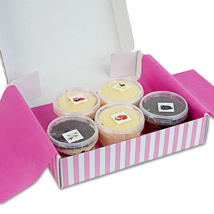 Torte-Geschmacksproben "Bunter Mix" (5er Set)