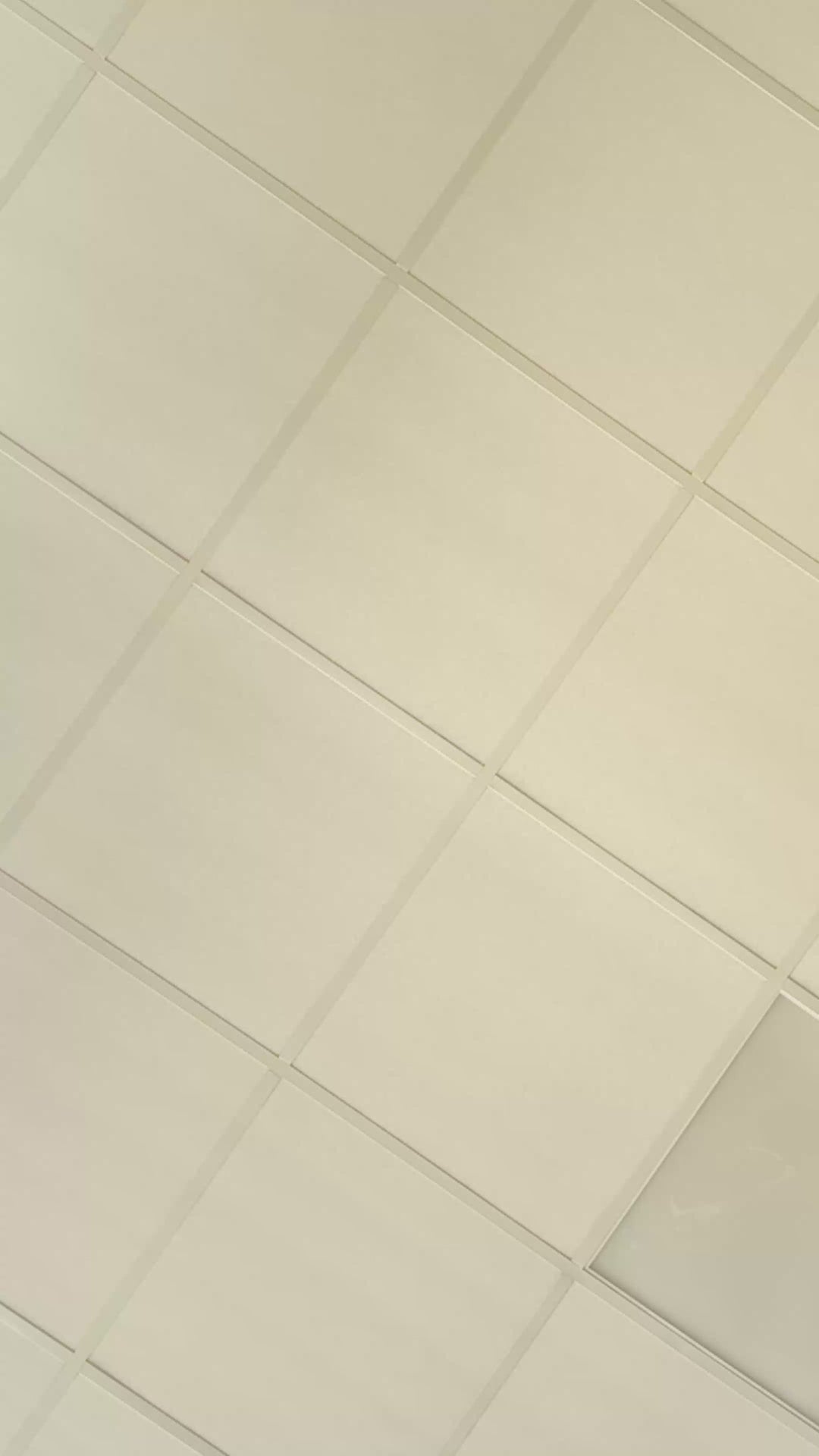 Pinke Schulranzen-Kekse (12 Stück)