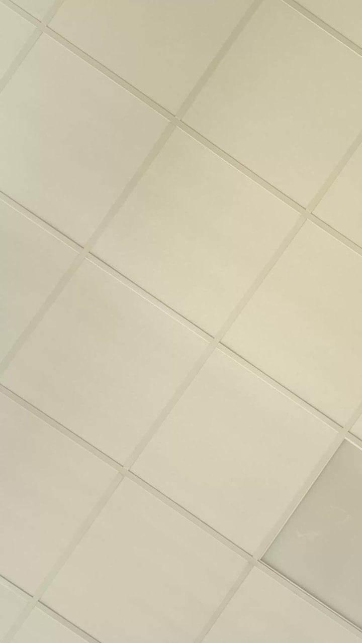 Pinke Schulranzen-Kekse (12 Stück)